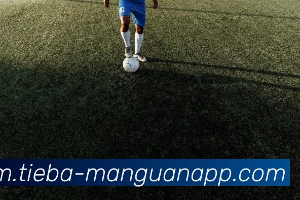 满贯体育平台生态图