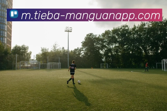 满贯体育APP 封面图