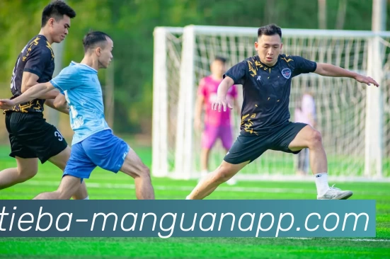 满贯体育APP 封面图